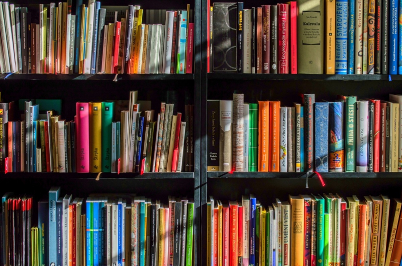 vente-ANTIBES-min_books_bookstore_book_reading_shop_writer_sale_books_read-822866